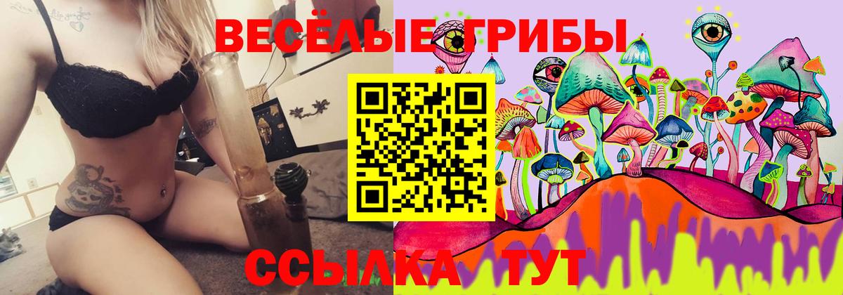 Галлюциногенные грибы Cubensis Сердобск